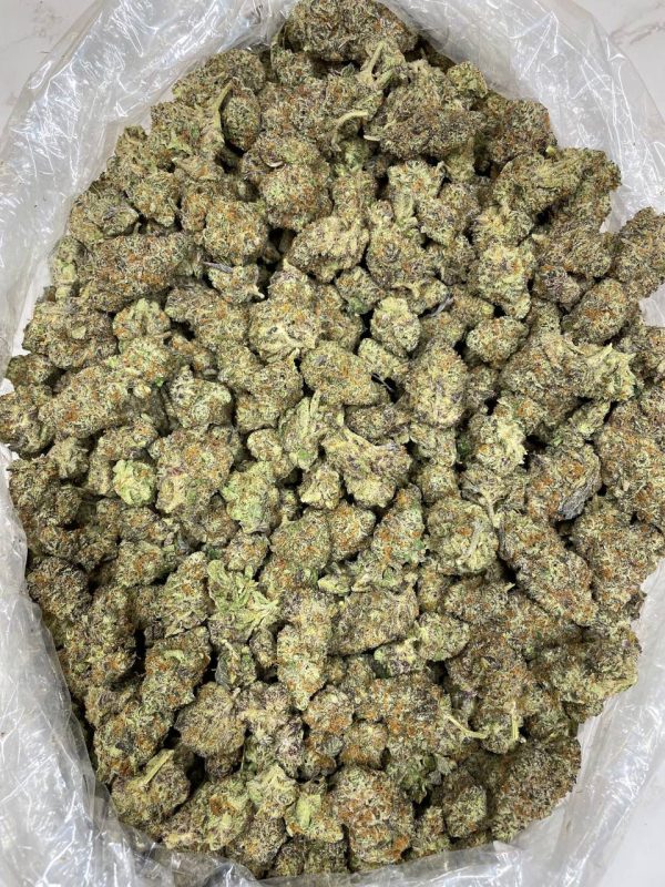 Buy lemon cherry gelato strain