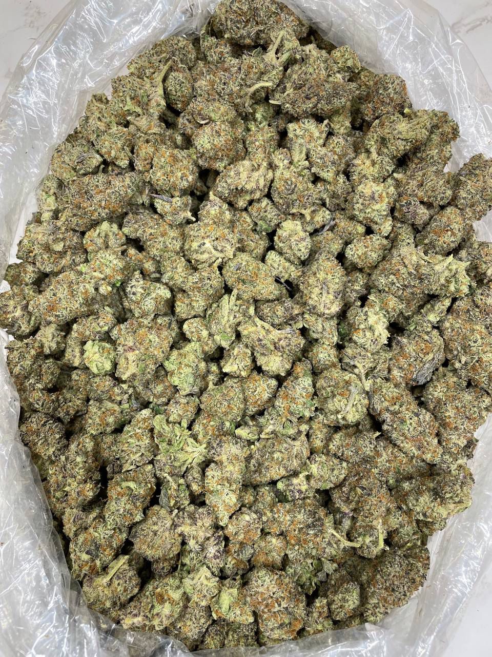 Buy lemon cherry gelato strain