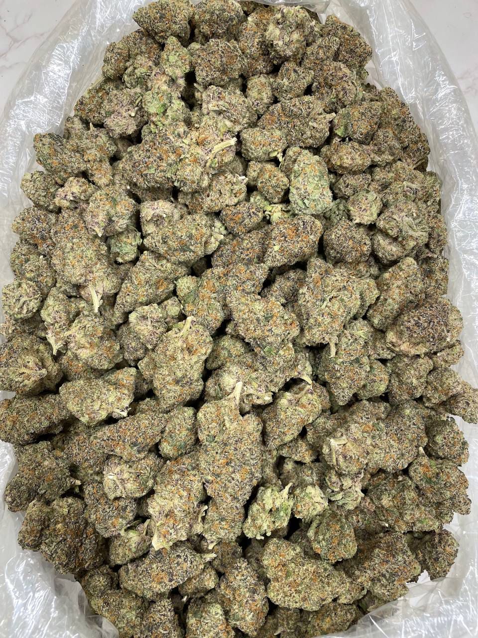 Buy purple gelato og strain