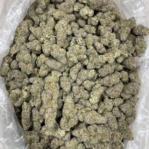 Buy Platinum Cookies Weed Strain