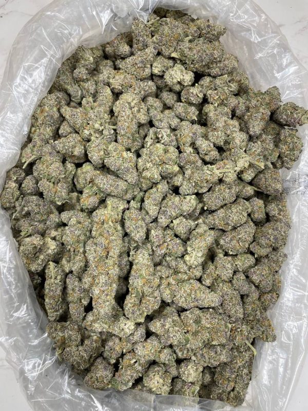 Buy Platinum Cookies Weed Strain