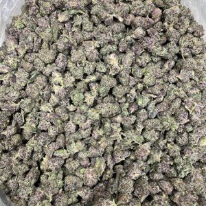 Buy ice cream runtz weed strain