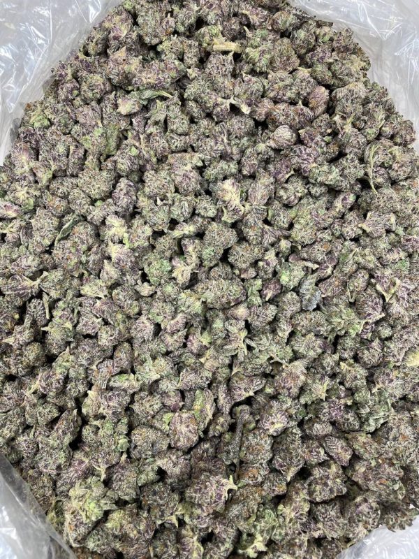 Buy ice cream runtz weed strain