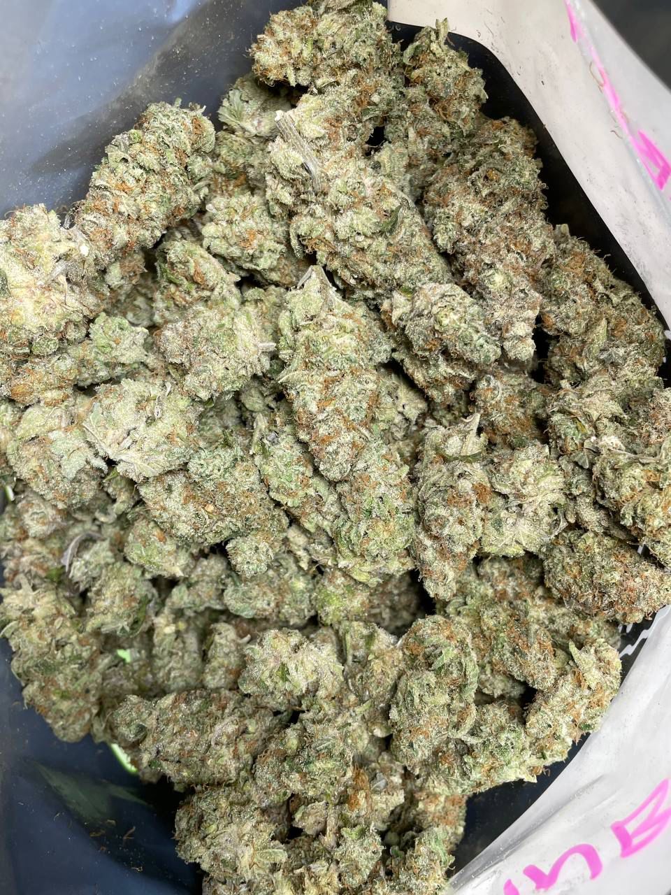 Buy rainbow sherbet strain