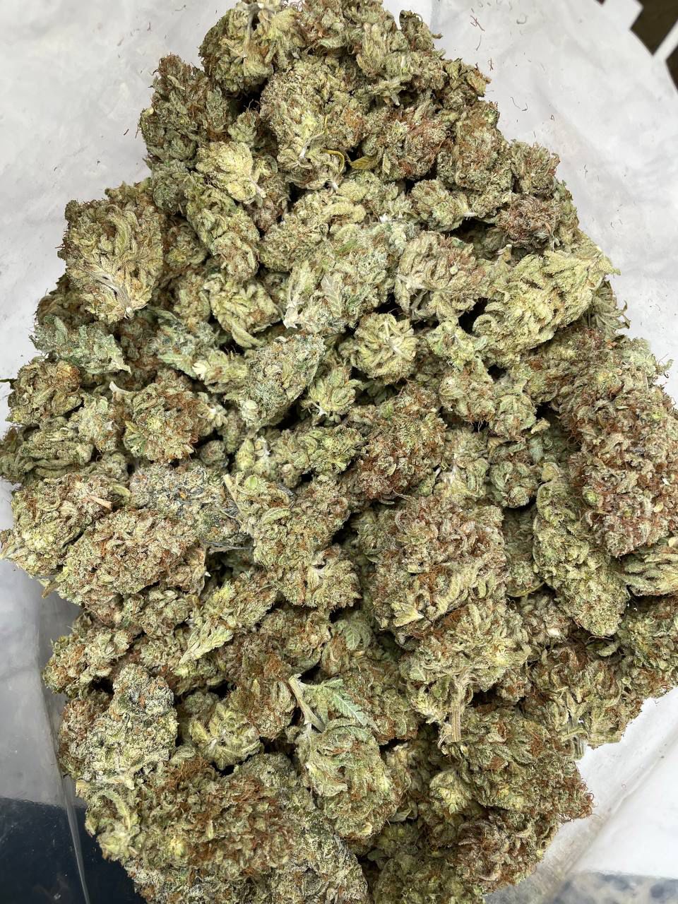 Buy strawberry gelato strain