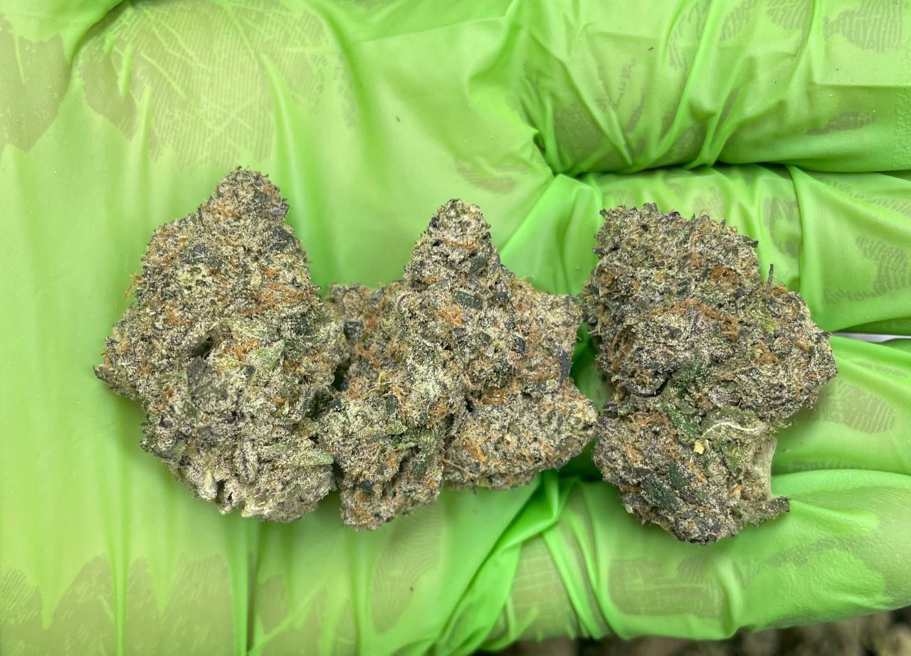 Buy Candy Cake Strain