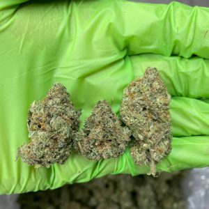 Buy Gorilla Glue Strain Online